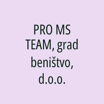 PRO MS TEAM, gradbeništvo, d.o.o. - Logotip