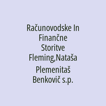 Računovodske In Finančne Storitve Fleming,Nataša Plemenitaš Benkovič s.p. - Logotip