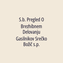 S.b. Pregled O Brezhibnem Delovanju Gasilnikov Srečko Božič s.p. - Logotip