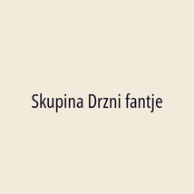 Skupina Drzni fantje - Logotip