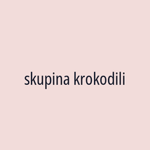 skupina krokodili - Logotip