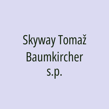 Skyway Tomaž Baumkircher s.p. - Logotip