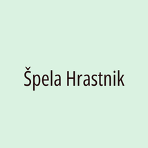 Špela Hrastnik - Logotip