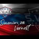 S.v.a.t. Varovanje, Specialna Varnostna Alternativna Taktika, d.o.o. - Logotip