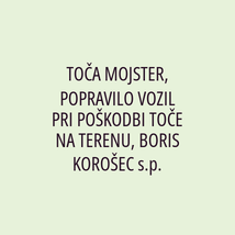 TOČA MOJSTER, POPRAVILO VOZIL PRI POŠKODBI TOČE NA TERENU, BORIS KOROŠEC s.p. - Logotip