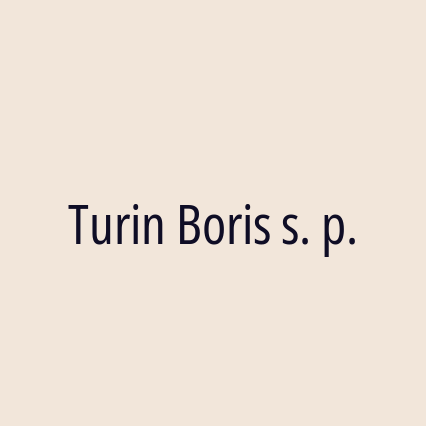 Turin Boris s. p. - Logotip