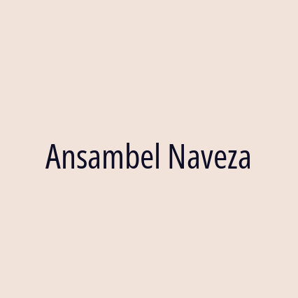 Ansambel Naveza - Logotip