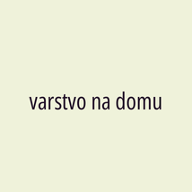 varstvo na domu - Logotip