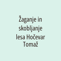 Žaganje in skobljanje lesa Hočevar Tomaž - Logotip